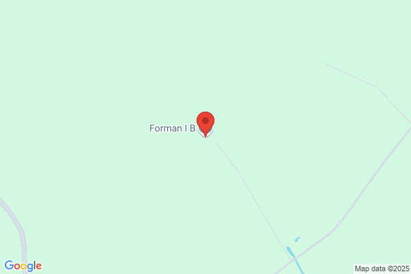 I B Forman