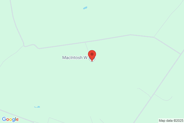 W MacIntosh