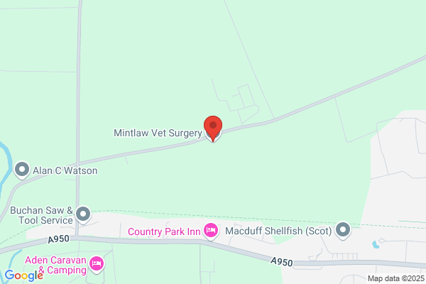 Mintlaw Veterinary Surgery