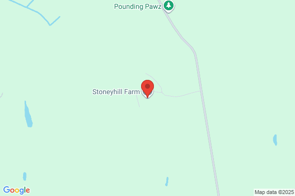 Stoneyhill Waste Management Ltd