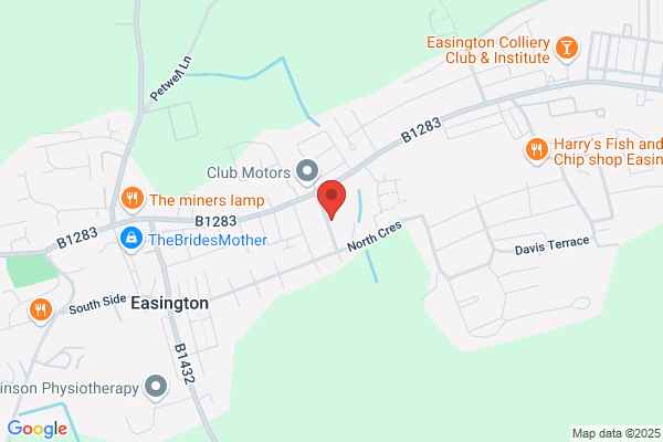 Chimps Ltd