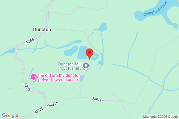 Duncton PLC