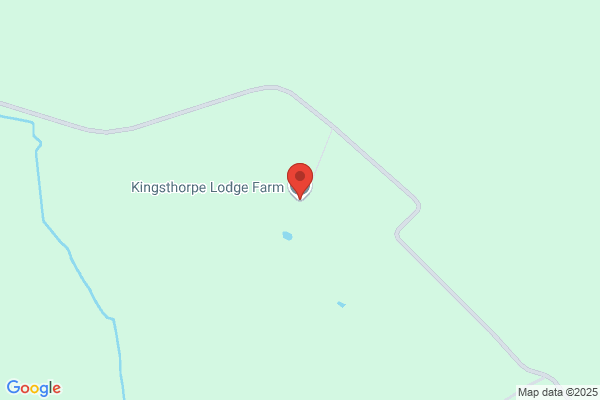 Kingthorpe Eggs