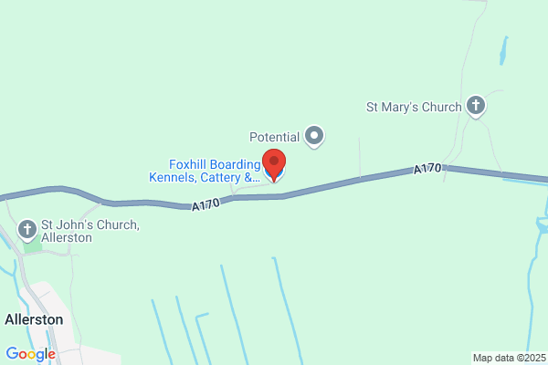Fox Hill Boarding Kennels & Cattery