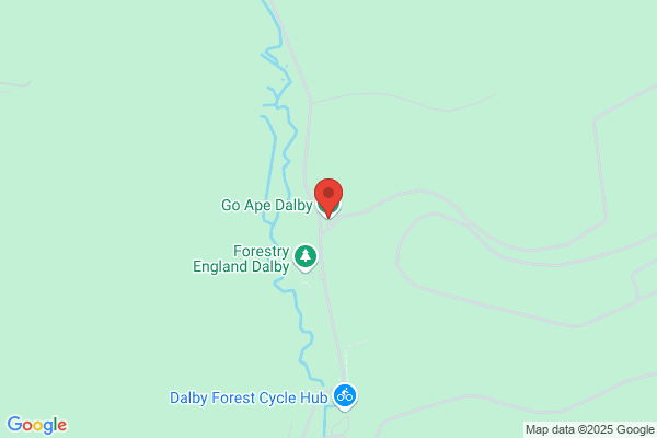 Go Ape Dalby