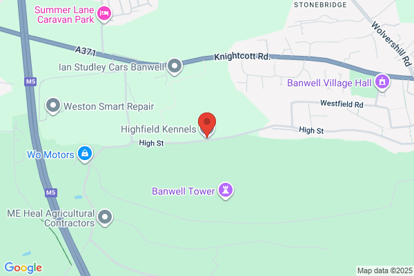 Highfield Kennels
