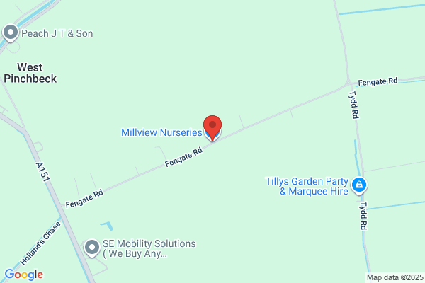 Millview Nurseries