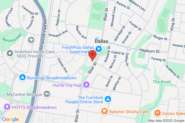 Dallas Chemists