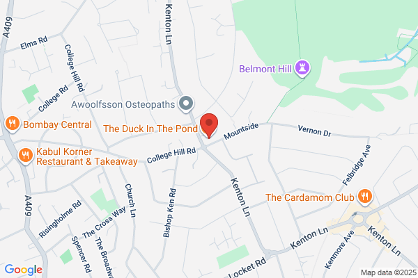 Duck In The Pond