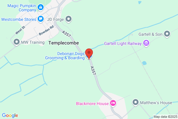 Debonair Dogs