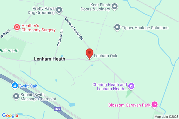 Lenham Oak & Fencing