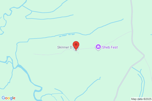 D Skinner