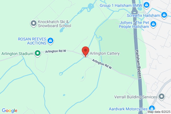 The Alfriston Cattery