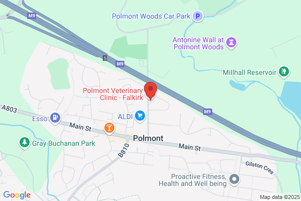 Polmont Veterinary Clinic - Falkirk