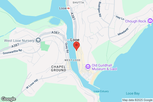 Looe Fishing Trips