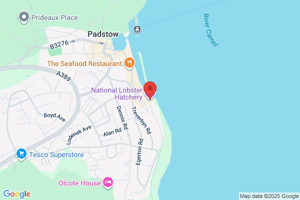 National Lobster Hatchery