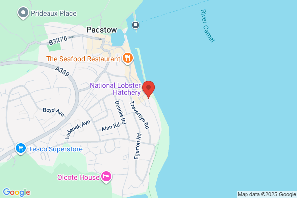 Padstow Cycle Hire Ltd