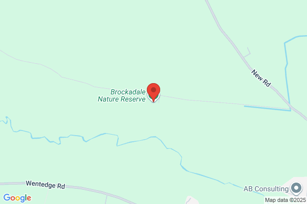 Brockadale Arabians