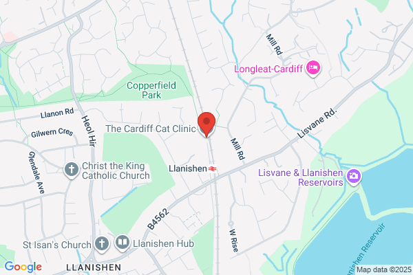 The Cardiff Cat Clinic