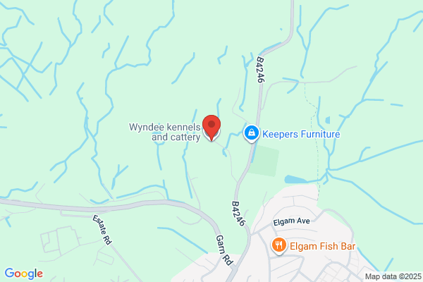 Wyndee Kennels