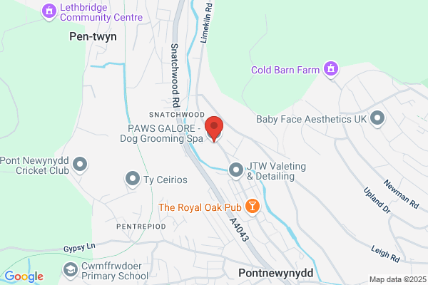 Mables Doggy Grooming Parlour