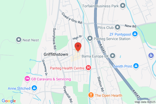 Griffithstown Domestics