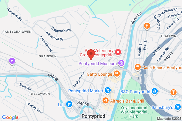 Pontypridd & District Club