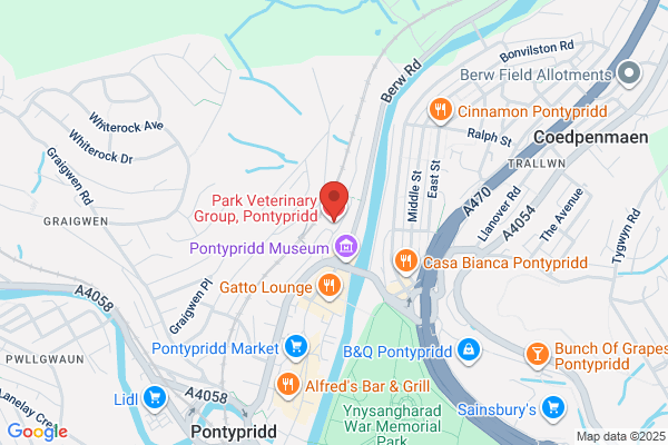 Park Veterinary Group, Pontypridd