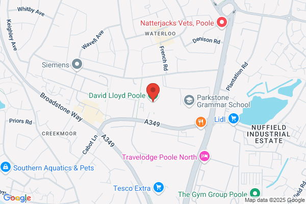 Lloyd Allen Day & Co