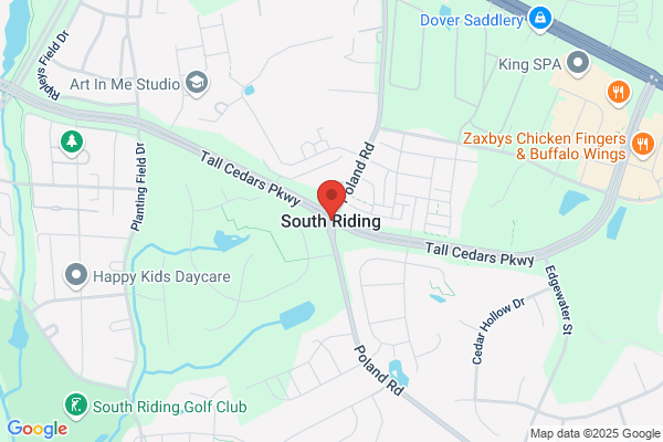 South Rising