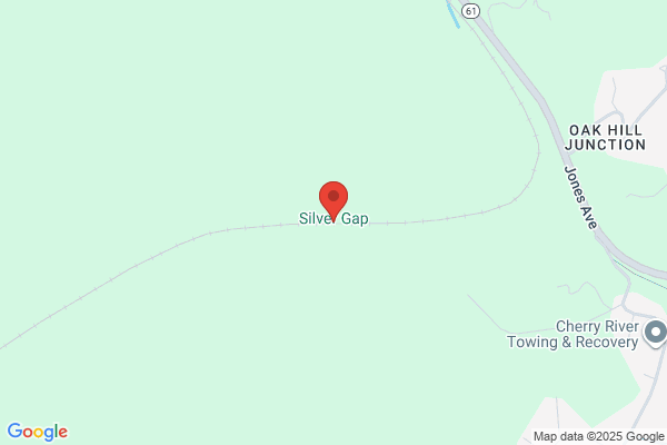 The Silver Gap Co