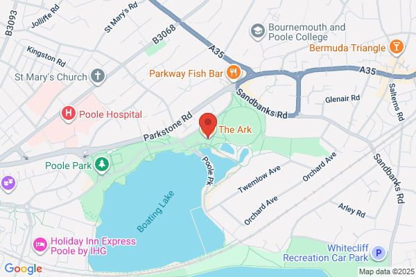 Gus Gorilla's Playground