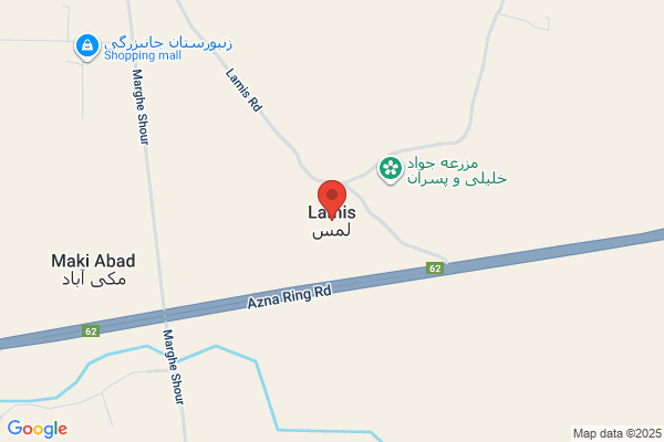 Lamis Chinese Take Away