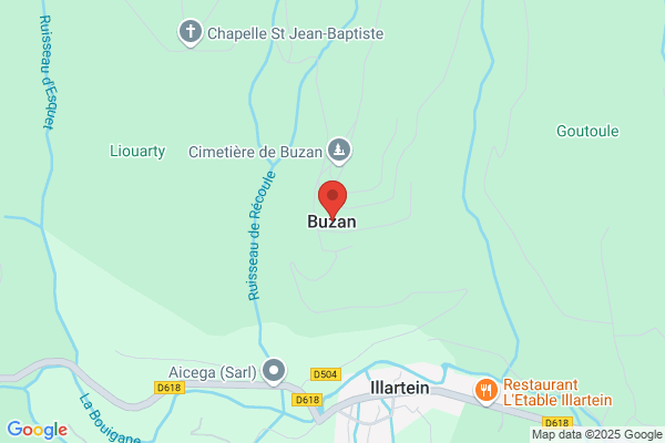 Buzan Ltd