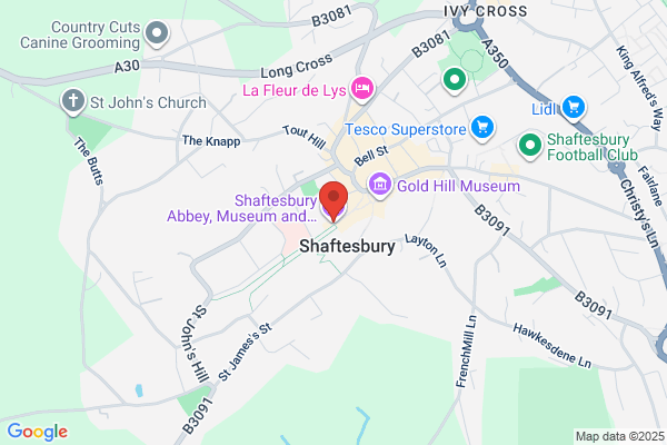 The Shaftesbury Society