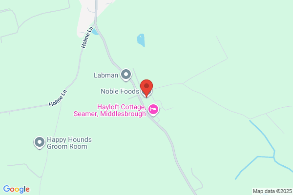 Noble Organisation Ltd