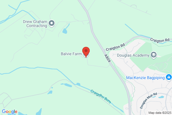 Balvie Farm Cattery