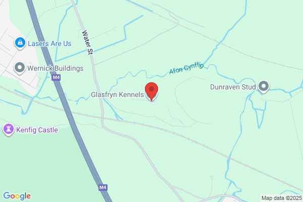 Glasfryn Kennels & Cattery