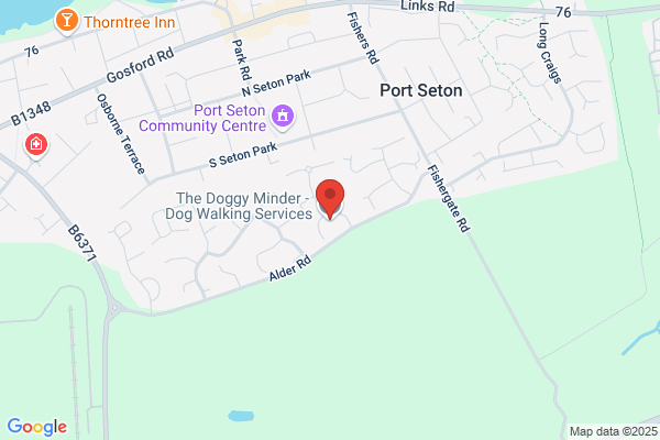 The Doggy Minder - dog walking services