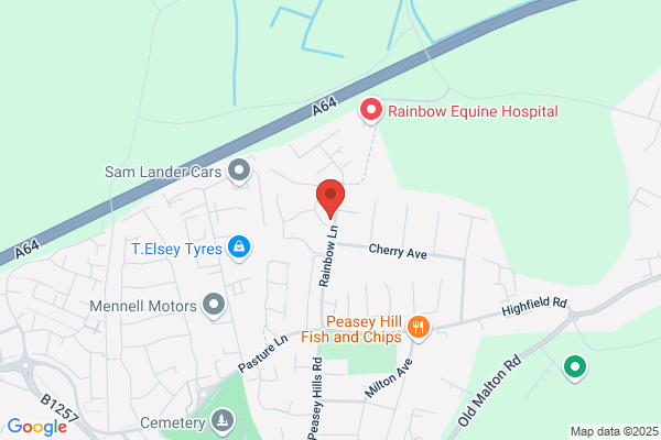 Brunnen Chimney Sweep Service