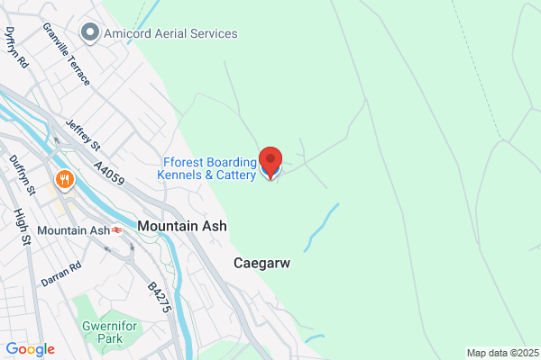 Mountain Ash Boarding Cattery