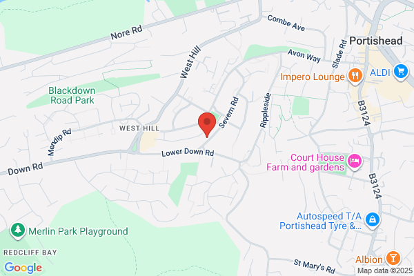 Wags Portishead Dog Walking & Pet Care Service
