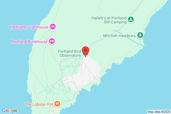 Portland Bird Observatory