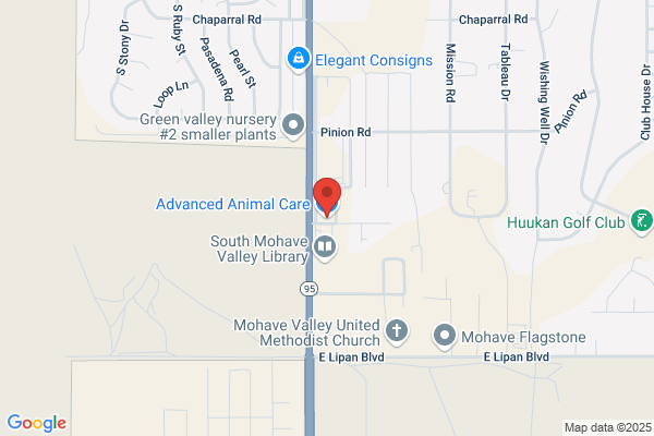 Advanced Animal Care