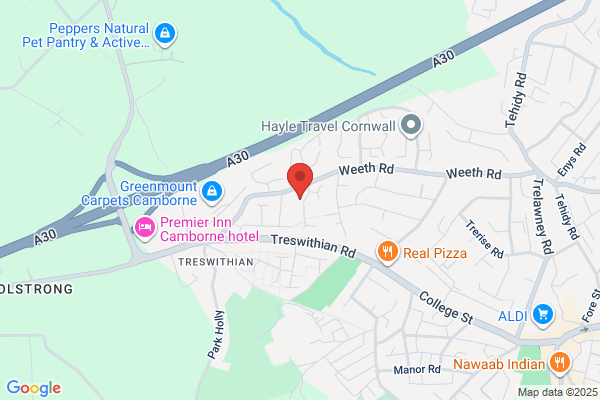 Trevithick Society