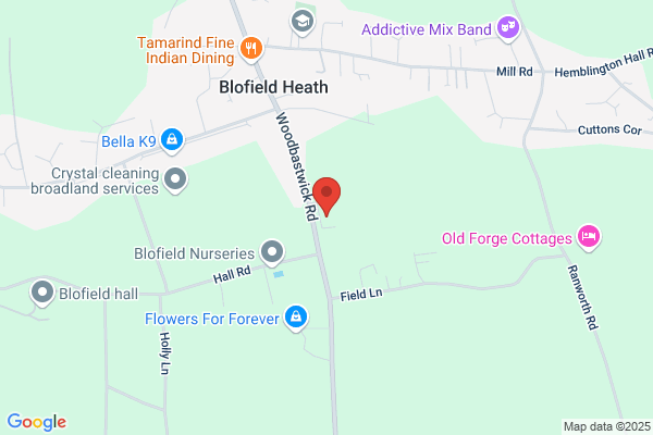 Steven Blofield Associates FS Ltd