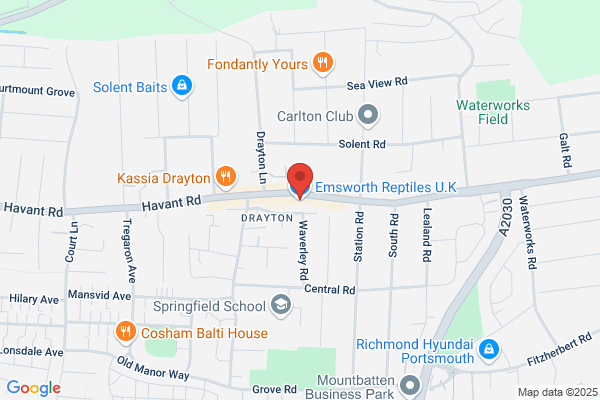Emsworth Aquaria & Reptiles Ltd