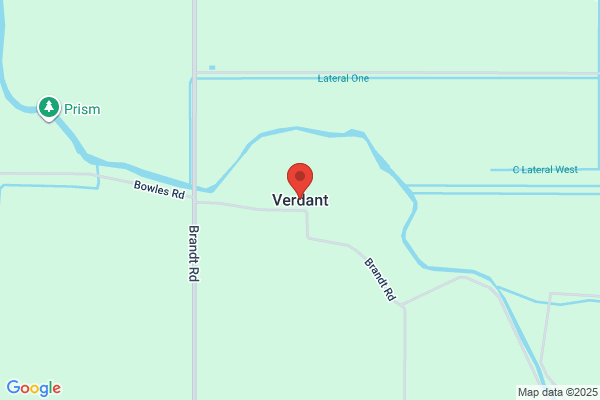 Verdant