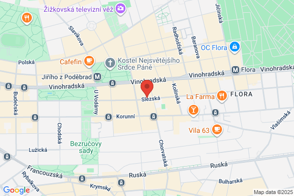 The Fleur De Lis