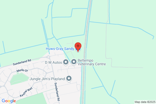 Huws Gray Sandy